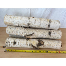 Natural Medium White Birch Logs - 2" to 3.5" Diameter Logs - Qty 5 Logs - Great for Crafting and Seasonal Decor - Free Shipping!