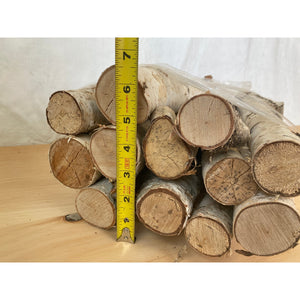 Natural Small White Birch Logs - 1 to 2.5" Diameter - Qty Aprox 10 - Great for Crafting and Seasonal Decor - Free Shipping!