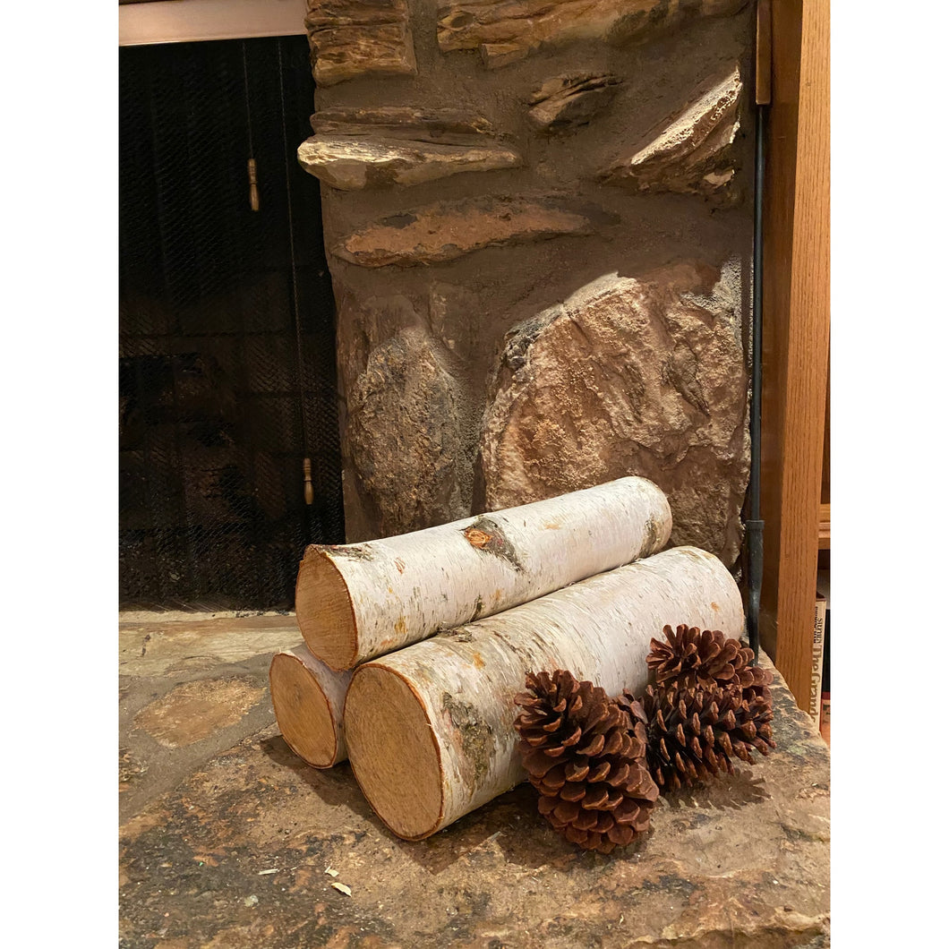 Natural Large White Birch Logs - 3-packs - Great for Burning and Beautiful Seasonal Decor