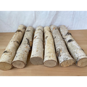 Natural Medium White Birch Logs - 2" to 3.5" Diameter Logs - Qty 5 Logs - Great for Crafting and Seasonal Decor - Free Shipping!