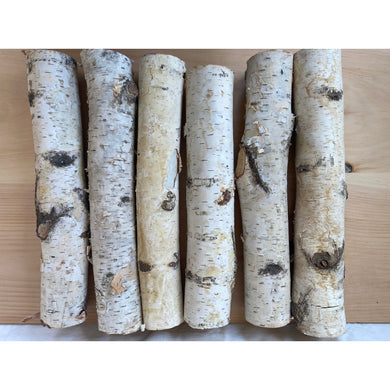 Natural Medium White Birch Logs - 2