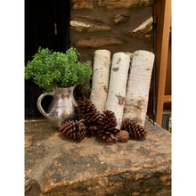 Natural Large White Birch Logs - 3-packs - Great for Burning and Beautiful Seasonal Decor