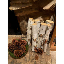 Natural Small White Birch Logs - 1 to 2.5" Diameter - Qty Aprox 10 - Great for Crafting and Seasonal Decor - Free Shipping!