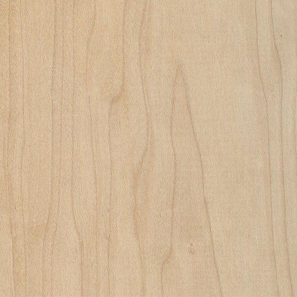 Maple Wood Texture